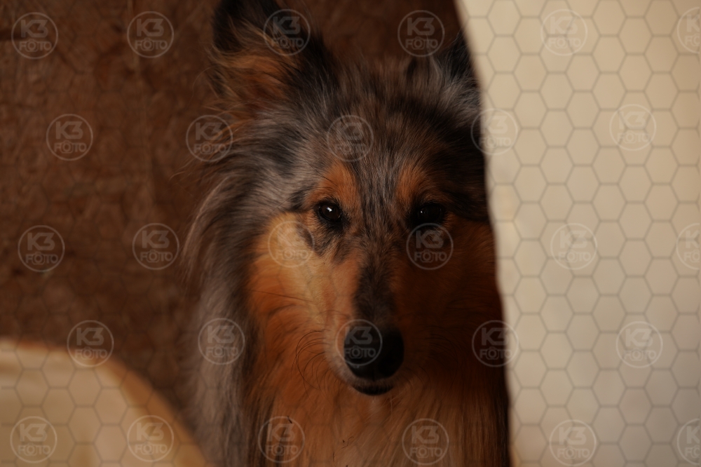 s_A9_05041.jpg